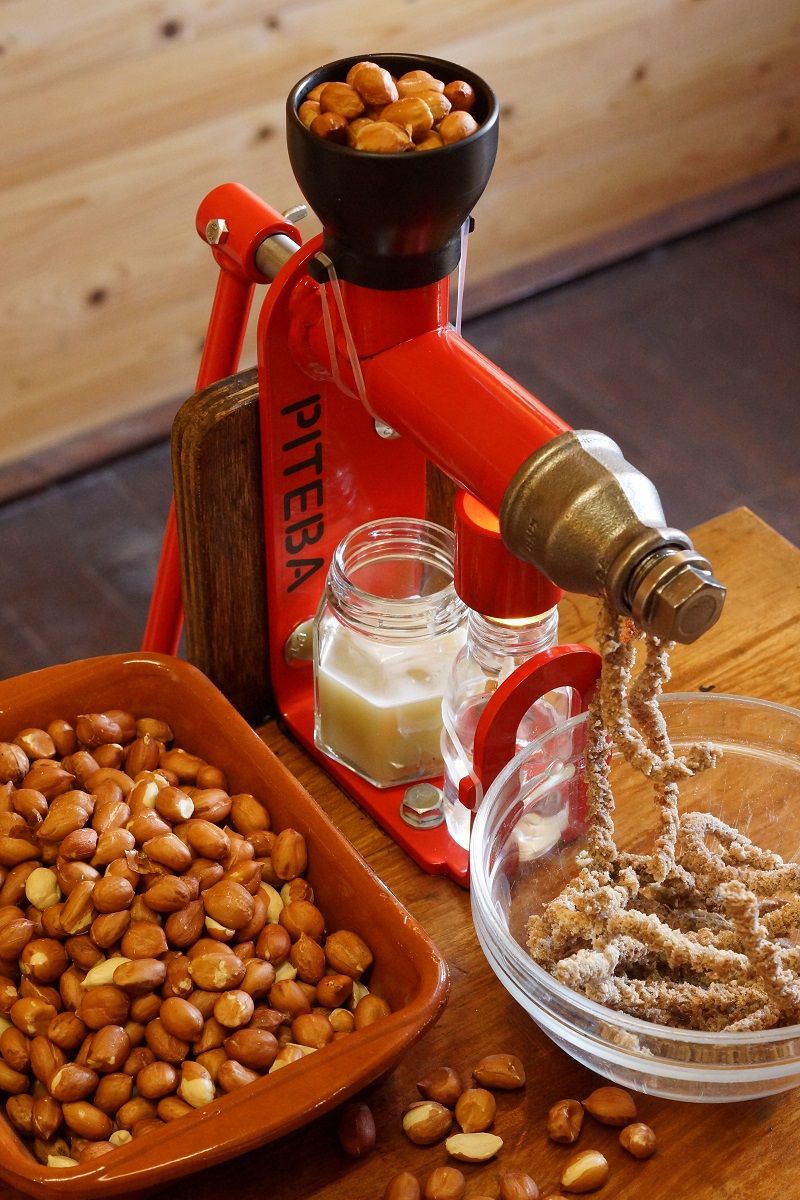 Oil Press Machine PROMOTOR 110V Household Small Oil Presser Machine Easily Extract Nut Peanut Sesame Rapeseed Walnut Oil 